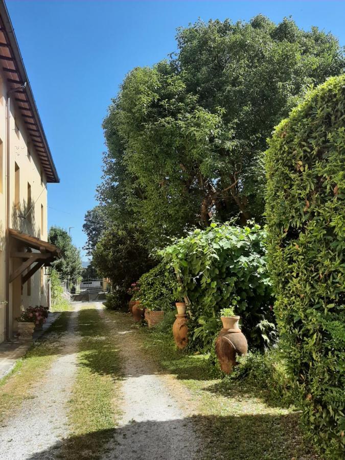 Antica Fattoria La Verdina Camaiore Exterior photo